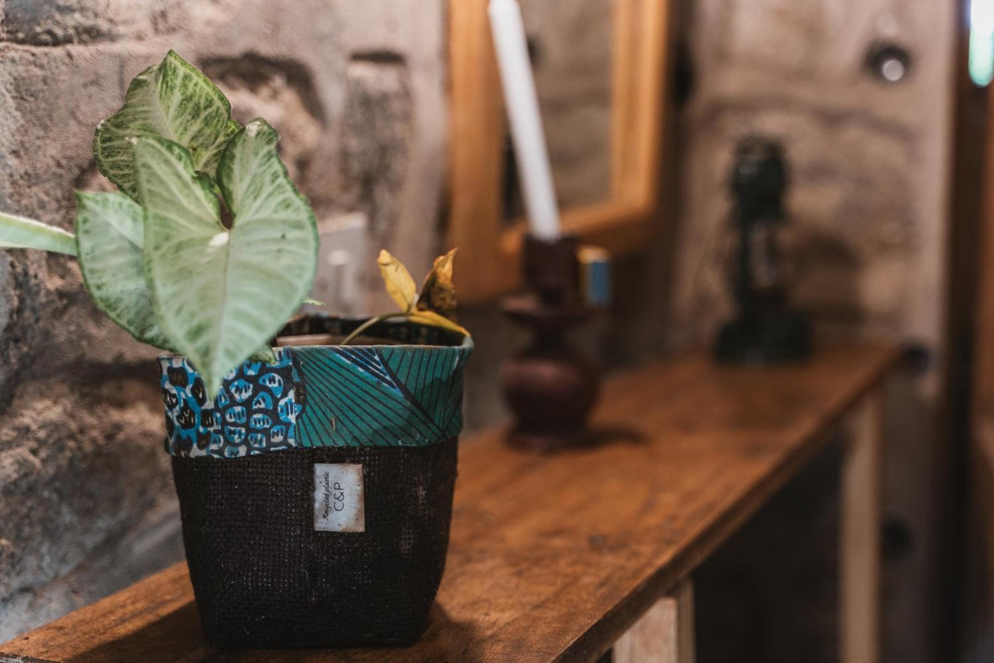 Butterfly Space- A Non-Profit Eco-Lodge Nkhata Bay Екстериор снимка