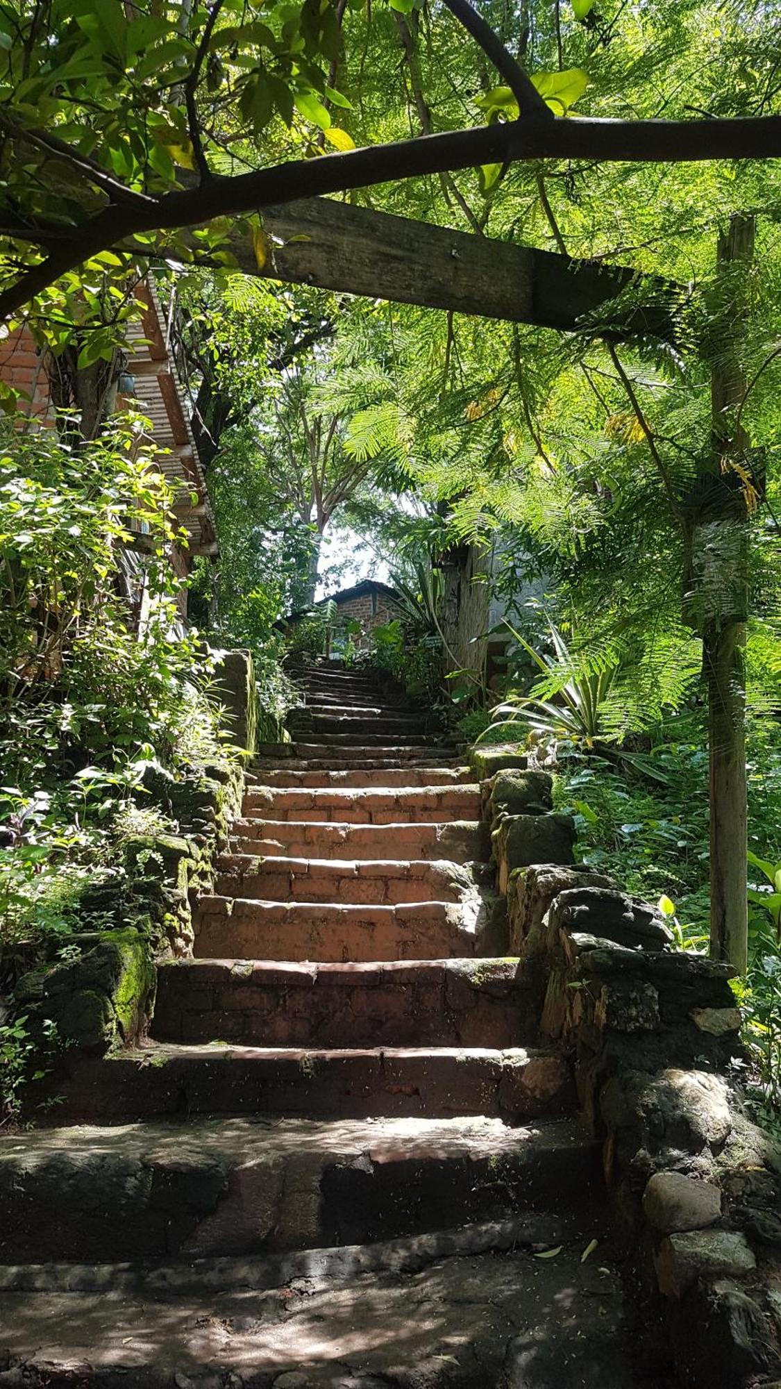 Butterfly Space- A Non-Profit Eco-Lodge Nkhata Bay Екстериор снимка