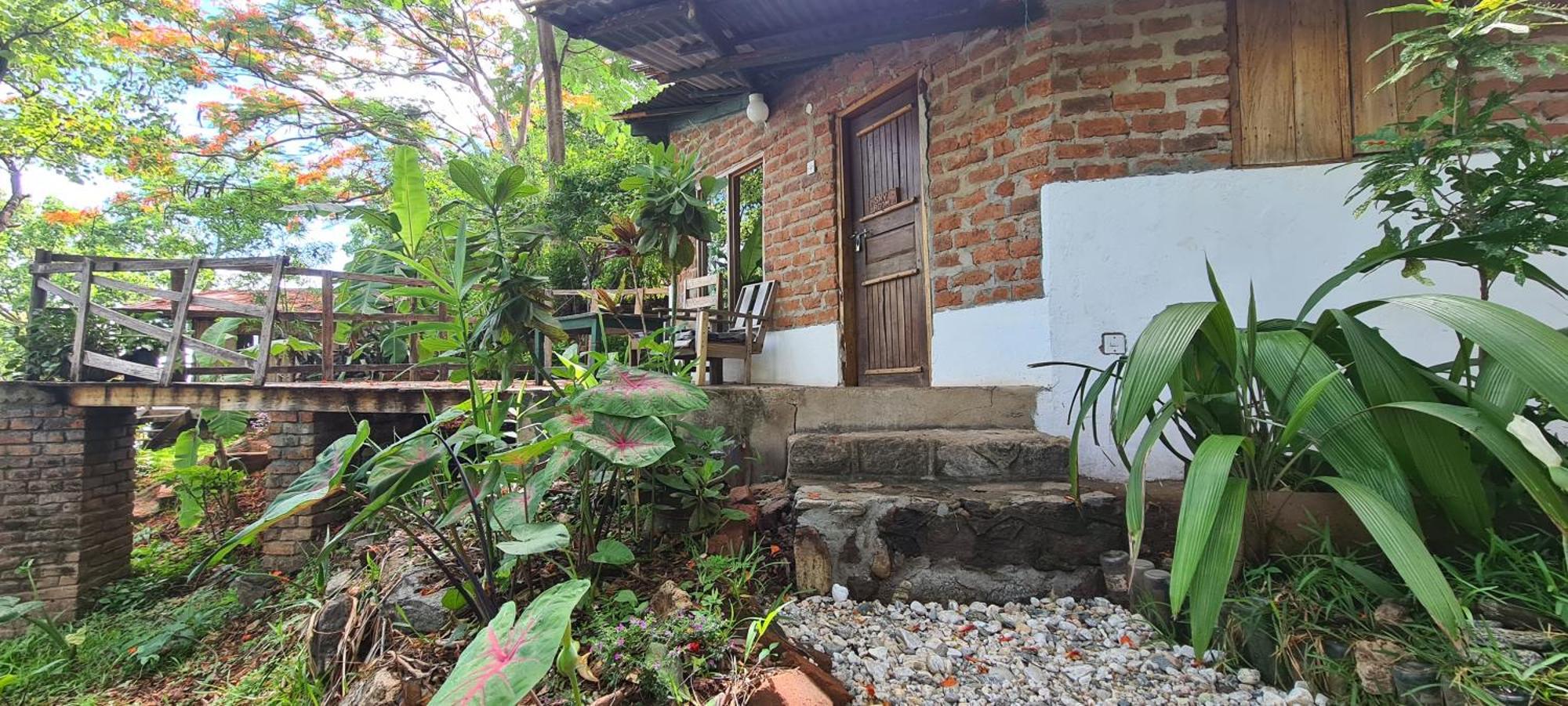 Butterfly Space- A Non-Profit Eco-Lodge Nkhata Bay Екстериор снимка