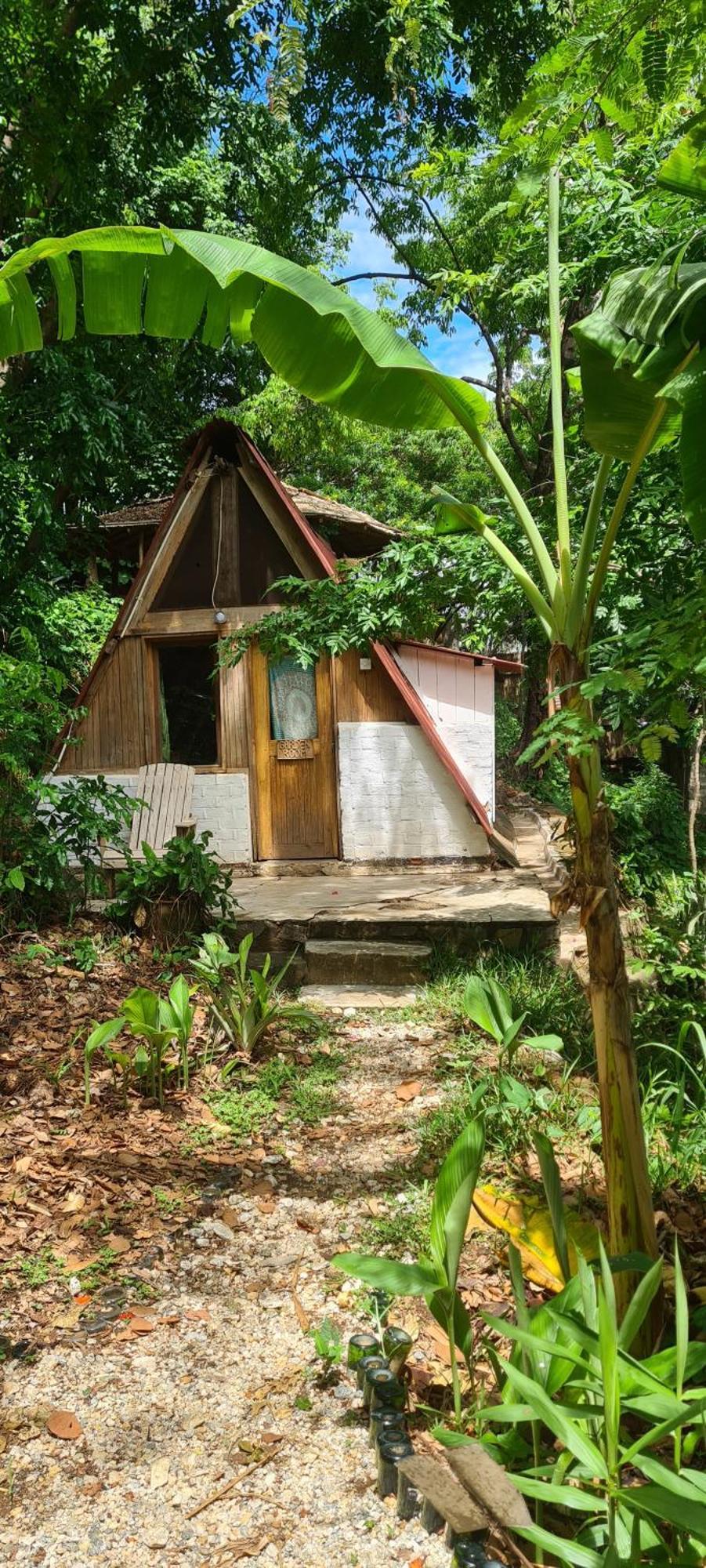 Butterfly Space- A Non-Profit Eco-Lodge Nkhata Bay Екстериор снимка